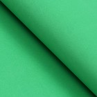 Фоамиран, зеленый, 1 мм, 60 х 70 см - Фото 2