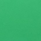 Фоамиран, зеленый, 1 мм, 60 х 70 см - Фото 3