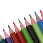 Карандаши 18 цветов Calligrata, ЭКОНОМ, заточенные, шестигранные, пластиковые, пенал-тубус и 2 чернографитных карандаша с ластиком в ПОДАРОК - фото 7108983