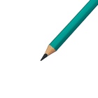 Карандаши 24 цвета Calligrata, ЭКОНОМ, заточенные, шестигранные, пластиковые, пенал-футляр и 3 чернографитных карандаша с ластиком в ПОДАРОК, МИКС - Фото 10