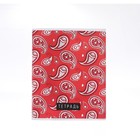 Комплект тетрадей из 4 штук, 96 листов в клетку Calligrata "Узоры", обложка мелованный картон, блок офсет - фото 25394609