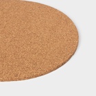 Набор подставок под горячее Доляна, 6 шт., d=19 см - Фото 3