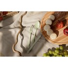 Набор столовых приборов Доляна, 4 предмета: вилка, ложка, нож, футляр синий, приборы МИКС - Фото 10