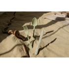 Набор столовых приборов Доляна, 4 предмета: вилка, ложка, нож, футляр синий, приборы МИКС - Фото 9