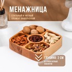 Менажница Adelica, 5 секций, 18×18×4 см, дерево берёза - Фото 1