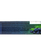 Аскорбиновая кислота «Экотекс», со вкусом черники, 10 таблеток по 2.9 г - Фото 4