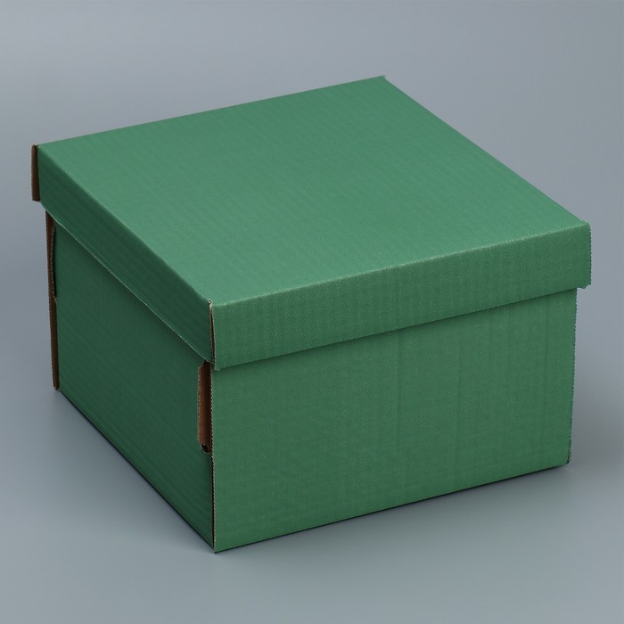 Складная коробка «Оливковая», 22х22х15 см