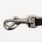 Рулетка Flexi Safari cord M (20 кг) 5 м, розовая зебра (pink Zebra)  (артикул 9428688)  большой выбор товаров оптом и в розницу по низким ценам с доставкой