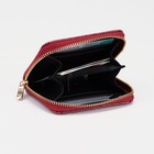 Кошелёк на молнии, цвет красный - фото 24543601