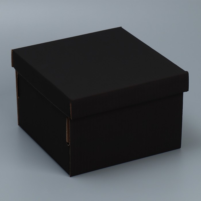 Складная коробка «Черная», 22х22х15 см