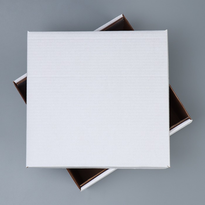 Коробка подарочная складная, упаковка, «Белая», 30×28.5×15 см