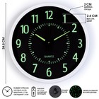 Часы настенные, серия: Интерьер, "Ходики", дискретный ход, светящиеся, 1АА, 24.5 х 24.5 см - фото 319197375