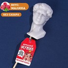 Формовой леденец «Нормальный мужик», вкус: малина, БЕЗ САХАРА, 30 г. 9346759 - фото 10161048