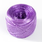 Пряжа "Для вязания мочалок" 100% полипропилен 400м/100±10 гр в форме клубка (баклажан) (5 шт) - фото 805175863