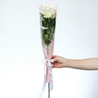 Пакет для цветов с вкладышем «Люблю тебя» - Фото 3