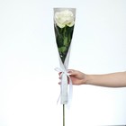 Пакет для цветов с вкладышем «Present for you», паттерн - Фото 3