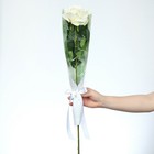Пакет для цветов с вкладышем «Present for you», мрамор - Фото 3