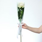 Пакет для цветов с вкладышем «Present for you» - Фото 3