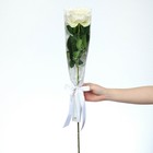 Пакет для цветов с вкладышем «Самой нежной» - Фото 3