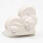 Минеральный камень для птиц, сердце, 60 г (комплект 2 шт) - фото 40675037