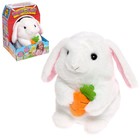 Интерактивная игрушка «Зайка-повторюшка», танцует - Фото 1
