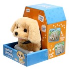 Интерактивная игрушка «Милый питомец», цвет МИКС - Фото 11