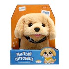 Интерактивная игрушка «Милый питомец», цвет МИКС - Фото 12