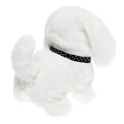 Интерактивная игрушка «Милый питомец», цвет МИКС - Фото 4