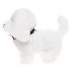 Интерактивная игрушка «Милый питомец», цвет МИКС - Фото 5