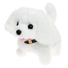 Интерактивная игрушка «Милый питомец», цвет МИКС - Фото 6