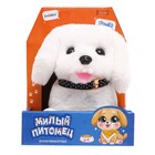Интерактивная игрушка «Милый питомец», цвет МИКС - Фото 10
