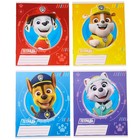 Подарочный набор первоклассника для мальчика, 9 предметов, Щенячий патруль - фото 24701007