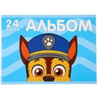 Подарочный набор первоклассника для мальчика, 9 предметов, Щенячий патруль - фото 24701003