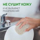 Средство для мытья посуды, овощей и фруктов SEPTIVIT, биоразлагаемый гель, зеленое яблоко, 5 л - Фото 5