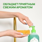 Средство для мытья посуды, овощей и фруктов SEPTIVIT, биоразлагаемый гель, зеленое яблоко, 5 л - Фото 6