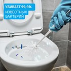 Средство для чистки сантехники SEPTIVIT, 750 мл - Фото 4
