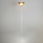 Торшер "Изи" 1х15Вт Е27 МОДЕЛЬ: BR 01001 белый/черный 9095804