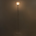 Торшер "Изи" 1х15Вт Е27 МОДЕЛЬ: BR 01001 белый/черный 9095804