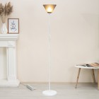 Торшер "Изи" 1х15Вт Е27 МОДЕЛЬ: BR 01001 белый/черный 9095804