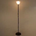 Торшер "Изи" 1х15Вт Е27 МОДЕЛЬ: BR 01008 венге/черный - фото 21948064