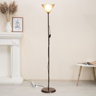 Торшер "Изи" 1х15Вт Е27 МОДЕЛЬ: BR 01008 венге/черный - фото 21948069