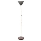 Торшер "Изи" 1х15Вт Е27 МОДЕЛЬ: BR 01008 венге/черный - фото 21948071