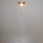 Торшер "Весна" 1х15Вт Е27 МОДЕЛЬ: BR 01013 белый/черный 9095816