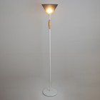 Торшер "Князь" 1х15Вт Е27 МОДЕЛЬ: BR 01029 белый/черный 9095832