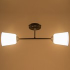 Люстра "Луч" (цилиндр) 2х15Вт Е27 МОДЕЛЬ: BR 00247 черный/синий 9095910