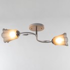 Люстра «Лилия» BR 00257, 2×15 Вт, Е27, бело-чёрная  (артикул 9095920)  большой выбор товаров оптом и в розницу по низким ценам с доставкой