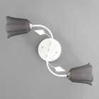 Люстра «Лилия» BR 00257, 2×15 Вт, Е27, бело-чёрная  (артикул 9095920)  большой выбор товаров оптом и в розницу по низким ценам с доставкой