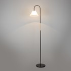 Торшер "Арбат" 1х15Вт Е27 МОДЕЛЬ: BR 01022 черный/прозрачный - фото 21948377