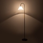 Торшер "Арбат" 1х15Вт Е27 МОДЕЛЬ: BR 01022 черный/прозрачный - фото 21948378