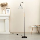 Торшер "Арбат" 1х15Вт Е27 МОДЕЛЬ: BR 01022 черный/прозрачный - фото 21948384